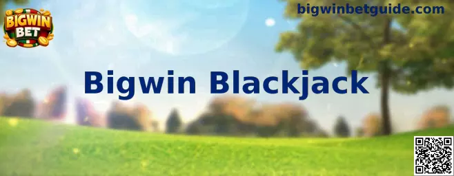 Interfaz educativa de Bigwin Blackjack