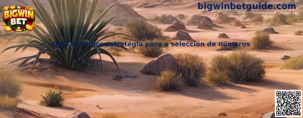 Guía sobre selección de números en Bigwin Keno