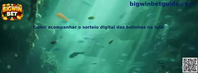 Sorteo digital de bolitas en pantalla