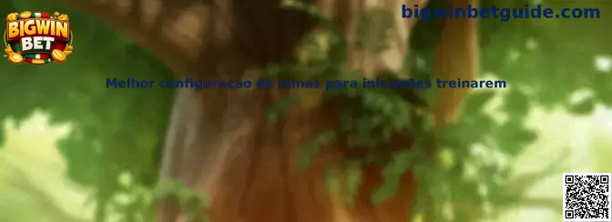 Melhor configuração de minas para iniciantes treinarem en Bigwin Bet